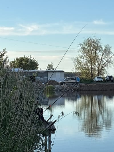 The image depicts a fishing scene on the shore of a body of water, likely a lake or a wide river. Fishing rods are prominently placed, indicating an active fishing spot. Vegetation, primarily tall grasses, covers the foreground. In the background, a building is visible, along with several vehicles parked nearby. The sky is clear with a few clouds. The presence of vehicles and structures suggests a location near a settlement. Based on the prompt, this scene is likely located in or near Khryashchevka, Russia. The water reflects the sky and surrounding objects, contributing to the overall composition. The orientation of the image is sideways.