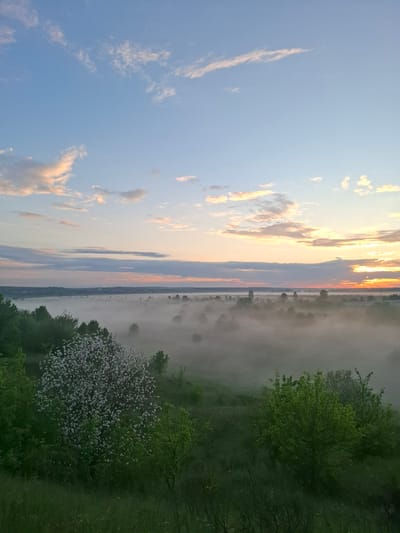 The image depicts a landscape scene in Khlevnoye, Russia. The sky, transitioning from blue to orange at the horizon, contains light clouds. Below the sky is a body of water, possibly a river or lake, partially obscured by fog. The foreground is dominated by trees and vegetation, including a blossoming tree with white flowers. A layer of fog partially obscures the trees, adding a sense of depth to the scene.