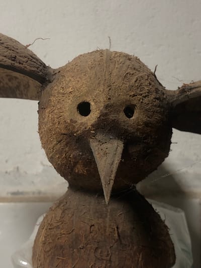 This is a close-up, eye-level, frontal view of a crudely made effigy constructed from coconut shells, resembling a stylized bird or creature. The object is positioned in what appears to be an indoor setting. The background is a textured, off-white wall. The effigy features two circular holes for eyes, a pointed beak made from a carved piece of coconut shell, and two ear-like appendages also fashioned from coconut shell. The surface of the effigy is rough and fibrous, characteristic of coconut husks. Some fine strands of cobweb are visible on the effigy and in the surrounding area, suggesting it has been in place for some time. The lighting is dim, casting subtle shadows. There are no people present in the image. The scene is devoid of any specific indicators of Kabalana, Sri Lanka.
