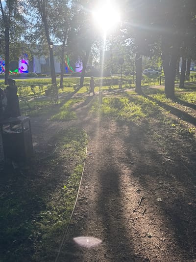 The image depicts an outdoor scene, likely a park or pathway, bathed in bright sunlight. Tall trees line the left side of a dirt path, casting long shadows across the ground. The sun's rays create a lens flare effect. In the distance, on the left side of the frame, large digital screens display colorful, abstract patterns, with one screen showing a swirling graphic and another featuring what appears to be a stylized yin-yang symbol in purple and pink. Trees obscure much of the background, but hints of buildings and greenery are visible. A white car is parked on a paved area behind the trees on the left. A thin, white hose or cable runs along the edge of the path. The ground is a mix of dirt, grass, and fallen leaves. The overall impression is of a sunny day in an urban park, possibly during an outdoor event given the presence of the large screens. The time of day appears to be late afternoon or early evening, judging by the long shadows and the quality of the sunlight. There is no visible text in the image.