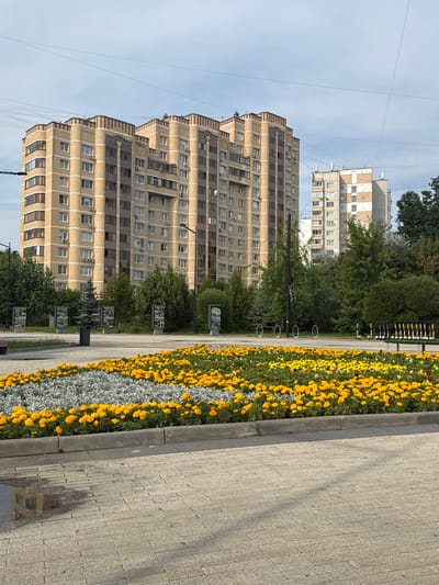 This is a daytime, eye-level, medium shot of a public space in Zelenograd, Russia. In the foreground, a wide flowerbed is filled with bright yellow and some red flowers, interspersed with silvery-grey foliage. The flowerbed is bordered by a concrete curb and a paved walkway made of light-colored rectangular stones. In the background, two tall, multi-story apartment buildings dominate the scene. The building on the left is light yellow with brown decorative trim at the top and a stepped roofline. The building on the right is lighter in color with geometric patterns on its facade. Between the buildings, mature green trees form a dense line. A street lamp and a dark trash receptacle are visible near the trees. Several framed information stands with black frames are positioned in front of the trees. A row of parked electric scooters is lined up on the right side of the image, near a bench. The sky is overcast with light clouds.