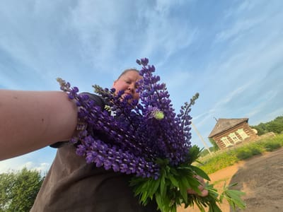 A first-person perspective low-angle shot captures a person holding a large bouquet of purple lupine flowers. The person's arm and shoulder are prominent in the foreground, with the flowers obscuring their face. The background reveals a rural landscape under a bright, partly cloudy sky. A weathered wooden house with green-trimmed windows and a steep roof is visible on the right, adjacent to a dirt road and a wooden fence. Green trees and fields surround the house, suggesting a countryside setting in the city of Дойная, Russia. The overall lighting indicates it is daytime, possibly late afternoon due to the warm light.