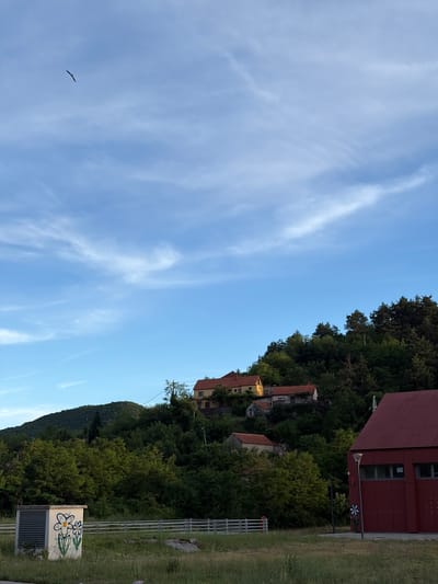 The image depicts a rural scene with a cluster of houses nestled on a tree-covered hillside. The sky is a clear blue with scattered wispy white clouds, and a bird is visible in flight. In the foreground, there is a red building with windows and a street lamp. To the left of the red building is a small concrete structure with graffiti of flowers. A metal fence runs across the middle ground, separating the foreground from the hillside. The overall impression is one of a tranquil, sun-drenched setting in the outskirts of Cetinje, Montenegro.