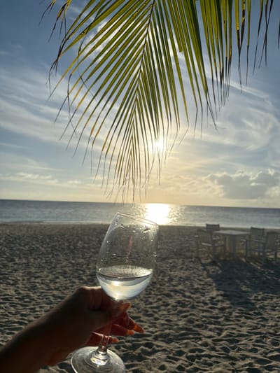 The image depicts a serene beach scene at sunset in an undisclosed location in the Maldives. In the foreground, a hand holds a wine glass filled with a clear liquid, positioned in front of a sandy beach. The glass is partially obscured by a palm frond, which drapes over the top of the frame, creating a natural vignette. The ocean stretches out in the background, meeting the horizon under a sky filled with soft clouds and the setting sun, which casts a warm glow on the water. Further back on the beach, a set of outdoor dining furniture, consisting of a table and chairs, is visible, suggesting a resort or restaurant setting. The overall atmosphere is tranquil and idyllic, characteristic of a tropical sunset.