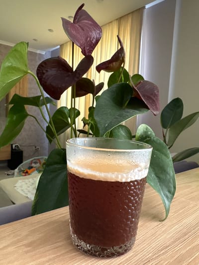 In Sofiivska Borshchahivka, Ukraine, a close-up shot captures a glass of dark beverage with a foamy top, resting on a wooden surface. Behind the glass, an Anthurium plant with deep red spathes and lush green leaves is prominently featured. The background reveals soft yellow curtains and a portion of a wall, suggesting an indoor setting, possibly a home.