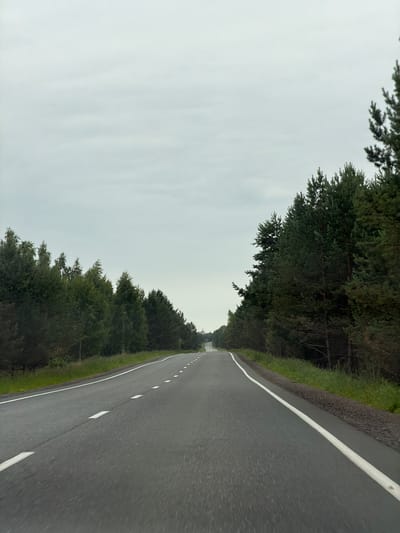 The image depicts a road winding through a dense forest. The road itself is asphalt, with a white line marking the lane. On either side of the road, tall, dark green trees form a thick canopy. The sky is overcast and a light gray, suggesting a cloudy or potentially rainy day. The overall scene is one of a quiet, perhaps slightly damp, natural environment. There is no text visible in the image, nor are there any people or specific objects that stand out besides the road and the trees. The perspective suggests the photo was taken from a moving vehicle, looking forward along the road. The time of day is difficult to ascertain due to the overcast sky, but it appears to be daytime. The location context indicates this scene is in Matveevka, Russia.