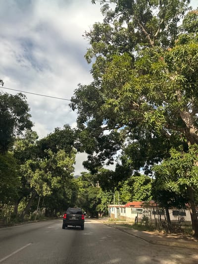 A black SUV drives down a two-lane road lined with lush green trees. The sky above is a mix of white clouds and blue sky. To the right of the road, a white building with a red-tiled roof is visible, surrounded by a fence and more trees. The scene suggests a rural or suburban area within the city of La Asuncion, Venezuela, characterized by its abundant vegetation and simple architecture.