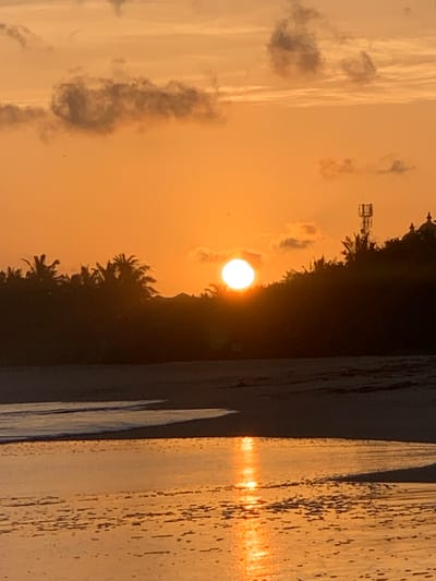 This is a photograph of a sunset on a beach in Habaraduwa, Sri Lanka. The sun, a bright orange orb, is partially obscured by silhouetted palm trees and other vegetation along the coastline. The sky is filled with warm orange and yellow hues, with a few scattered, dark clouds. In the foreground, the wet sand reflects the colors of the sunset, and the gentle waves of the ocean are visible. On the right side of the image, a tall, modern telecommunications tower stands out against the natural landscape, and further to the right, architectural elements resembling domes or stupas are visible, hinting at nearby religious structures. The overall scene is serene and captures the natural beauty of a tropical sunset.