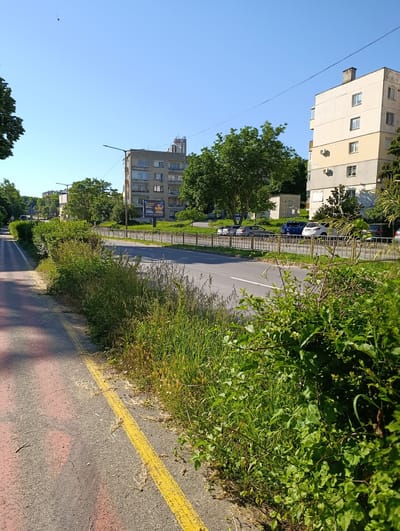 A street scene in Razgrad, Bulgaria, shows a tree-lined road with apartment buildings on either side. A dedicated bike path with red and yellow markings runs along the left side of the road. The right side of the road features a grassy median with scattered wildflowers and a yellow metal fence. Several cars are parked along the roadside. A large billboard displaying an advertisement is visible in the distance. The sky is clear and blue. The image appears to have been taken on a sunny day.