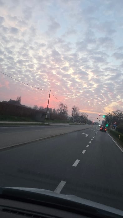 The image displays an outdoor road scene in Olen, Belgium, at either sunrise or sunset, viewed from inside a stationary or slow-moving vehicle, evidenced by the visible dashboard in the foreground. The sky occupies the upper two-thirds of the frame, filled with numerous altocumulus clouds exhibiting a prominent pink hue near the horizon that gradually transitions to lighter pink and light blue higher up.

A multi-lane asphalt road dominates the midground, marked with white dashed lane lines. A white left-turn arrow is painted on the left lane. The road appears to curve gently to the right in the distance. To the left of the road, a sidewalk or shoulder runs alongside a long, dark brick wall or fence. Behind this wall, several trees and the silhouette of a building with a dark roof are visible. A utility pole with overhead electrical wires stands near the wall. To the right of the road, a grassy verge is lined with bare trees. Multiple traffic light installations are present on the right side of the road and suspended over it, with at least two displaying green signals. Further down the road, a dark-colored passenger vehicle is visible, showing illuminated red taillights. No individuals are discernible within the scene.