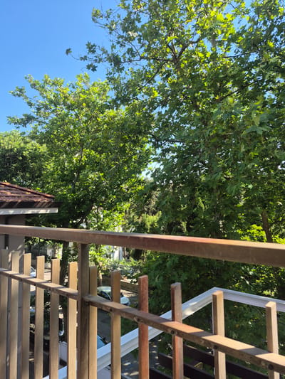 The image captures a view from a balcony in Pesaro, Italy, looking out over trees and a street. A weathered metal railing is in the foreground, with vertical and horizontal bars showing signs of rust and age. Beyond the railing, dense green foliage from mature trees dominates the scene, with bright sunlight filtering through the leaves, creating dappled light patterns. The sky above is a clear, vibrant blue. To the left, a portion of a building with a terracotta-tiled roof is visible. Below the trees, a street can be seen with parked cars, including a white sedan and a dark-colored vehicle. The overall impression is a sunny day in an urban or suburban setting, with nature intertwined with the built environment.