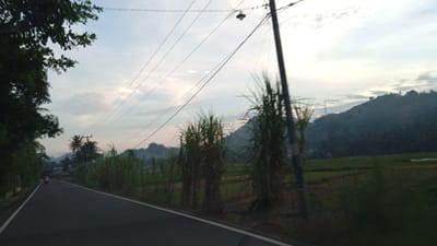 The image depicts a rural road in the city of Uleejalan, Indonesia, at dusk. A paved road runs from the lower left to the middle distance, with a white line marking its edge. On the left side of the road, dense foliage and trees line the embankment. On the right side, tall, reedy plants grow, partially obscuring a rural landscape. In the background, rolling hills covered in dark vegetation are visible under a pale, cloudy sky. Power lines traverse the scene, supported by a utility pole with a light fixture. A solitary red motorcycle is visible on the road in the middle distance. The overall atmosphere suggests a quiet, early evening in a tropical, agricultural region.