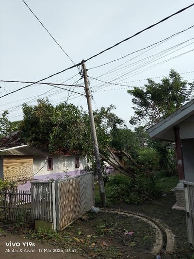 The image shows a scene in Anjatan, Indonesia, located at latitude -6.388 and longitude 107.93. A concrete utility pole stands in the foreground, with multiple electrical wires running across the frame.  A large tree branch has fallen, resting on the roof of a small, white building with a brown wooden door. The building has a gated fence in front, constructed of a woven bamboo material. The ground is covered with fallen branches and debris. There are multiple trees in the background, including a larger house on the right side of the frame. The sky is light blue and clear.  The image was taken by a mobile phone, as evidenced by the watermark "vivo Y19s." The date and time are shown in the lower left corner: 17 Mar 2023, 07:51. There are no people in the image.