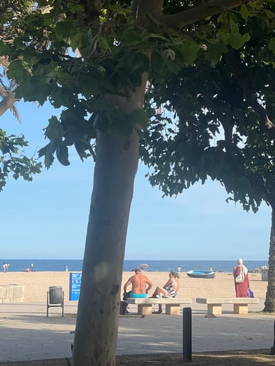 In Sant Adrià de Besòs, Spain, a beach scene unfolds under a clear blue sky, framed by the lush green foliage of a large tree in the foreground. The sandy beach stretches towards the calm, blue ocean. Several people are visible on the beach and along the promenade. Two individuals are seated on a concrete bench in the mid-ground, facing the sea. A man in blue swim trunks faces away from the camera, while a woman beside him wears a striped bikini. Further to the right, a woman wearing a long red dress and a hijab stands near another concrete bench. A blue boat rests on the sand in the distance, and a few beach umbrellas dot the shoreline. A trash receptacle is positioned near the promenade. The environment suggests a warm, sunny day at the beach.