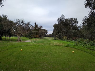 A golf course under an overcast sky features a lush green tee box with two yellow golf balls. Trees frame the scene on both sides. The fairway stretches into the distance, bordered by trees and rough. A small path leads from the tee box toward the fairway. Additional trees and foliage fill the background.