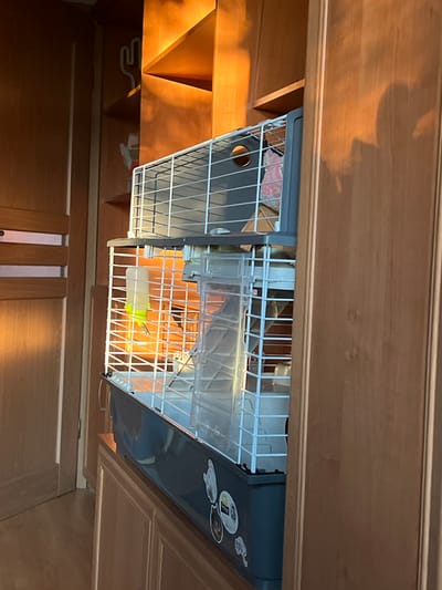 This image shows a multi-level cage, likely for a small animal, positioned on top of a wooden cabinet. The cage is predominantly white and grey, with clear plastic components. A green water bottle with a metal spout is attached to the side of the cage. The cage is situated in what appears to be a domestic interior, with wooden doors and shelves visible in the background. The lighting suggests it is daytime, with sunlight casting long shadows on the wooden surfaces. The location is specified as Skawina, Poland. There are no people visible in the image.