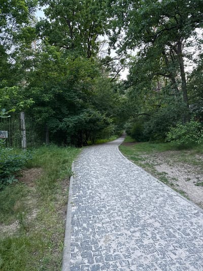 A paved pathway made of cobblestones curves through a lush, green park in Irpin, Ukraine. The path is bordered by grass and foliage, with tall trees creating a canopy overhead. The scene appears to be a serene and natural setting within the city. The cobblestone path is well-maintained, and the surrounding vegetation is dense and healthy, suggesting a well-kept park area. The overall impression is one of tranquility and natural beauty within an urban environment.