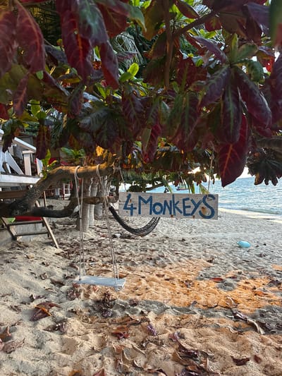 This media file captures a beachside scene in Baan Thong Po, Thailand. The foreground is dominated by lush green and deep red foliage, suggesting a tropical environment. To the right, a sandy beach stretches towards the ocean, with calm, light blue water visible in the background. The sand is marked by scattered dry leaves and what appears to be a discarded light blue plastic object.
A prominent feature is a weathered wooden sign with the text "4 MONKEYS" painted in dark blue capital letters. The sign is attached to a rustic wooden structure, reinforced with ropes, which seems to demarcate an area or path. The orientation of the image is such that the beach and sign are viewed from the perspective of someone looking downwards and to the right.
The lighting suggests it might be late afternoon or early morning, with the sun casting a warm glow and creating some lens flare through the leaves. The overall mood is relaxed and serene, characteristic of a beach destination. The presence of the sign indicates a named establishment or attraction, adding a layer of human activity to the natural landscape.