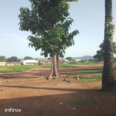 This media file depicts an outdoor scene in Serti, Nigeria. The foreground is dominated by a large tree with exposed roots, its trunk weathered and textured. To the right, a portion of another tree, possibly a palm tree, is visible, with some greenery growing on its bark. The ground is a reddish-brown dirt path with scattered patches of green grass and some litter.
In the middle ground, there are several buildings, appearing to be residential or perhaps part of a school or community center. These structures have varied roofing styles, including dark and light-colored corrugated metal. Fences and more greenery surround these buildings, suggesting a settled community.
The background shows a gentle, tree-covered hill under a clear, pale blue sky. The overall impression is of a rural or semi-rural setting, likely during daylight hours, given the illumination and shadows. There is no discernible activity of people or specific events taking place. The atmosphere is calm and serene.
The lower-left corner of the image contains the text "Infinix," which is a brand name.