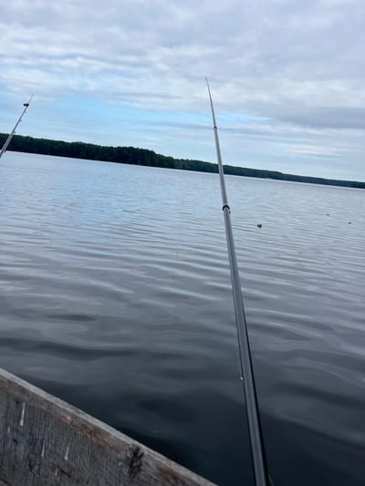 The image depicts a close-up, first-person perspective of fishing on a calm lake. In the foreground, a wooden dock edge is visible on the left, weathered and gray. Two fishing rods are set up; one, angled towards the left, has a red bobber visible in the water. The second, larger fishing rod dominates the right side of the frame, its black pole extending diagonally upwards and towards the right. The lake's surface is dark gray with gentle ripples, reflecting the overcast, cloudy sky. In the mid-ground, the opposite shore is lined with a dense, dark green forest. The scene is likely located in a natural, rural setting, potentially near Вяззеўскі сельскі Савет, Belarus, given the presence of a lake and surrounding forest, typical of the Belarusian landscape. There are no people or animals visible in the image.