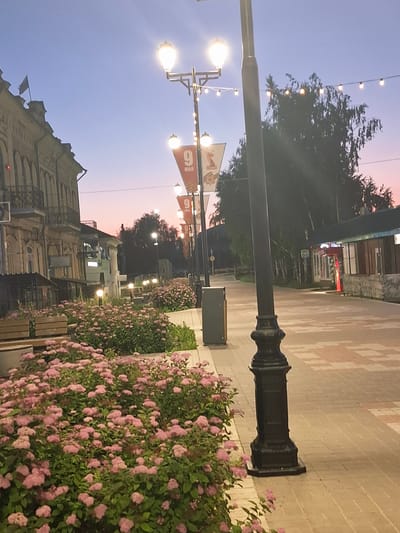 This media file captures a street scene in Kungur, Russia, during twilight. The image is oriented vertically. In the foreground, a dense bush with numerous small pink flowers lines a paved walkway. A black, ornate lamppost stands near the walkway. Further into the scene, string lights with glowing bulbs are visible, strung across the street, some attached to poles. One lamppost has multiple lights and decorative elements.
In the background, a building with intricate architectural details, likely an older structure, is partially visible on the left. On the right, another building with a patterned brick facade and awnings suggests shops or businesses. Trees with dark foliage are present, and the sky exhibits a gradient of soft blues and pinks, indicative of sunset or early dusk. The overall atmosphere is calm and serene.
Notable details include the time of day, with the sky transitioning from day to night. The lighting suggests it is evening, with artificial lights illuminating the street. There are flags or banners visible, one of which displays the number "9" and text in Cyrillic script, which likely reads "МАЙ" (May), potentially indicating a connection to Victory Day celebrations in Russia. The presence of flowers and the lamppost contribute to a pleasant urban environment.