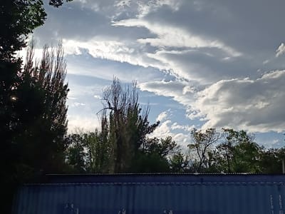 This media file depicts an outdoor scene dominated by a dramatic sky. Tall, thin trees with sparse foliage are silhouetted against a backdrop of clouds, some of which are bright white and illuminated by the sun, while others are darker and more ominous. The sun appears to be low in the sky, suggesting either early morning or late afternoon. The overall impression is one of natural beauty, with a hint of melancholy due to the bare branches of some trees.
In the foreground, the top of a large, dark blue corrugated metal structure is visible. This structure might be a shipping container or part of a building. Some faint white lettering is visible on the right side of this structure, though it is partially obscured and difficult to read. The text appears to be alphanumeric.
The setting is likely an open area, possibly a park or industrial zone, given the presence of the trees and the large metal structure. The weather appears to be partly cloudy, with the sun breaking through in places. There are no people visible in the image. The scene evokes a sense of quiet contemplation, with the grandeur of the sky contrasting with the man-made element in the foreground. The location context of Taraz city administration, Kazakhstan, suggests a potentially urban or semi-urban environment.