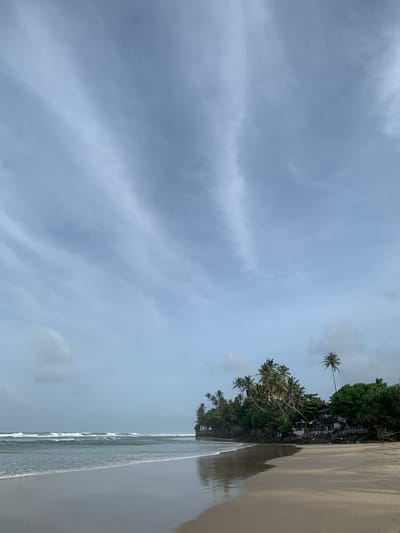 The image depicts a serene beach scene in Kathaluwa, Sri Lanka, under a cloudy sky. The foreground is dominated by a wet, sandy beach reflecting the overcast sky, with gentle waves lapping at the shore. A line of palm trees and lush green vegetation runs along the coastline, with a few structures visible amongst the trees, possibly small buildings or stalls. In the distance, the ocean stretches out to the horizon, with visible waves. No people are clearly identifiable in the image, and the overall atmosphere is peaceful and natural.