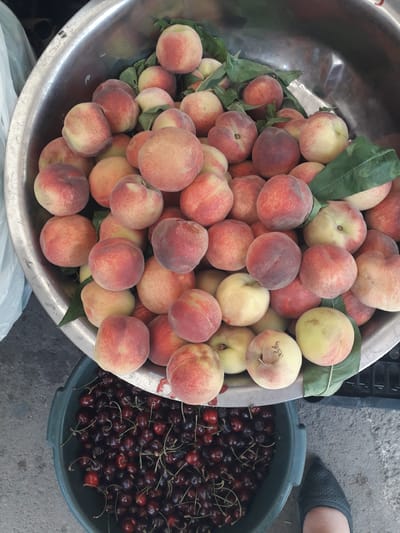 This outdoor image captures a generous display of fresh fruit, likely from a market or roadside stand in Ghafurov, Tajikistan. The primary subject is a large, reflective silver-colored metal basin filled to the brim with numerous peaches. These peaches exhibit a range of hues, from light yellow to soft pink and deep red, with several green leaves still attached, indicating their freshness.

Adjacent to the peach basin, on the right side of the frame, is a smaller, dark green plastic bucket brimming with a large quantity of dark red cherries, many still bearing their stems. The ground beneath the fruit containers is a rough concrete surface.

In the upper right portion of the image, a person's foot, wearing a dark-colored, perforated flat shoe, is visible on the concrete, suggesting a person standing near the fruit, possibly a vendor or a customer. A black plastic crate is partially visible behind the metal basin. The scene is illuminated by natural daylight, indicating a clear day. The abundance and freshness of the fruit suggest a harvest season. There is no visible text in the image.