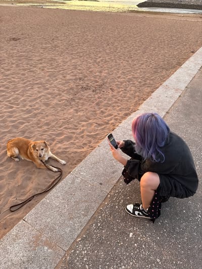 An individual with purple and pink dyed hair is crouching on a paved walkway next to a sandy beach, taking a photograph of a light brown dog with a dark brown leash. The dog is lying down on the sand, facing the individual. The beach has small ripples from the tide and leads to a body of water. In the background, a rocky breakwater extends into the water, and a light tan structure is visible on the far shore. The scene appears to be at a beach in Gijón, Spain, likely during sunset, given the warm, golden light illuminating the sand and water. The individual is wearing a dark oversized jacket, dark shorts, patterned socks, and black and white sneakers.