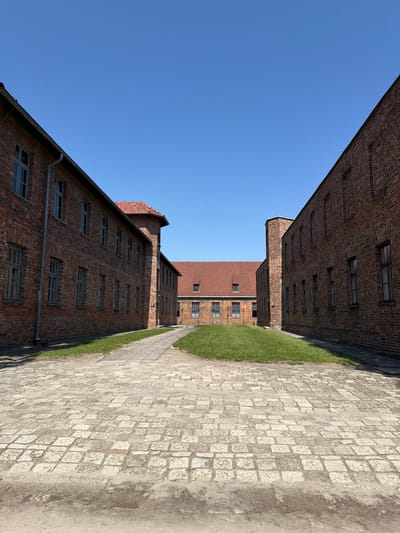 The image shows a perspective view of two brick buildings on a clear, sunny day. The buildings are constructed from red brick and have multiple windows with dark frames. The architectural style suggests they might be old industrial buildings or part of a historical complex. The ground in front of the buildings is paved with rough, grey cobblestones, and a strip of neatly mown green grass runs alongside the paving. The scene is viewed from a low angle, looking upwards towards the sky, which is a vibrant, cloudless blue. The perspective is slightly tilted, giving a sense of depth and scale to the buildings. The sunlight casts distinct shadows, indicating it is likely daytime. There is no visible text in the image. The overall impression is one of historical architecture in a well-maintained outdoor setting under clear skies.