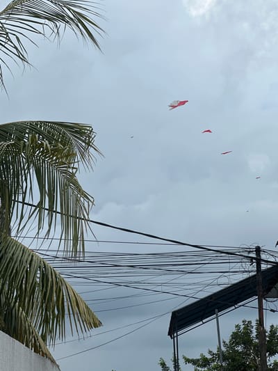 The image shows a view looking upward, likely in Dalung, Indonesia, given the context. In the foreground are fronds of a palm tree. In the background is an overcast sky with several small red kites or banners. Electrical wires and utility poles are visible on the right side of the frame, along with part of a commercial structure. There are no people visible.