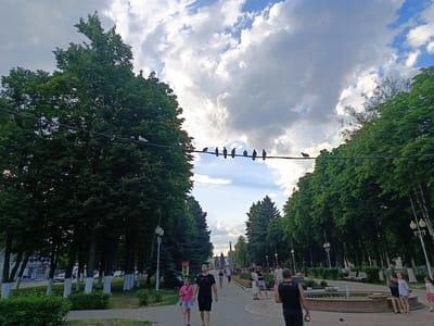 The image shows a wide, paved walkway in a park-like setting, flanked by mature trees on either side. The sky above is partly cloudy with dramatic cloud formations. Several pigeons are perched on a wire stretched between trees across the walkway. In the foreground, people are walking and standing. A man and a young girl walk towards the camera, followed by other individuals and groups further down the path. Benches and a fountain are visible in the mid-ground, and buildings and a tall obelisk-like structure are visible in the distance. This scene is identified as being in Gubkin, Russia.