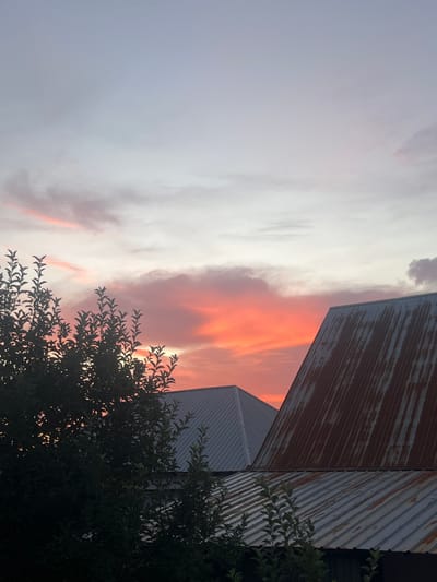 The image depicts a sky with vibrant sunset colors, primarily oranges and pinks, against a backdrop of a pale gray and white sky. In the foreground, dark green foliage from a tree is visible on the left side, partially obscuring two structures with corrugated metal roofs. One roof is weathered and rusty brown, angled prominently in the right half of the frame. Another, newer-looking roof, gray and silver, is visible behind and to the left of the rusty roof. The location is identified as Qaskeleñ, Kazakhstan. The scene is serene and natural, with no people or animals present, and no apparent actions or interactions occurring. The environment appears to be rural or semi-rural, given the presence of the buildings and trees.