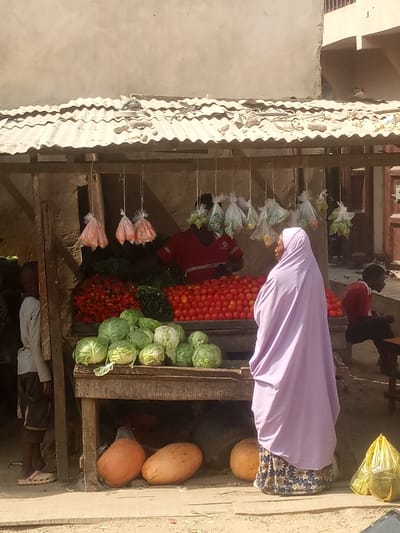 This image depicts an outdoor vegetable market stall in Unguwa Uku Kauyen Alu, Nigeria. The stall consists of a wooden framework supporting a weathered corrugated metal roof. On the primary display surface, large quantities of red tomatoes are piled, alongside a smaller mound of red peppers or smaller tomatoes mixed with dark green leafy vegetables. A row of green cabbages occupies a lower wooden shelf. Beneath this shelf, several large, elongated orange-brown gourds or squash rest directly on the unpaved, light brown ground. Various clear plastic bags containing produce, including orange items and green leafy vegetables, are suspended by strings from the stall's overhead structure.
Four individuals are present within the scene. In the foreground, a woman wearing a light purple head covering (khimar/hijab) and a patterned skirt stands with her back partially to the viewer, facing the displayed produce. Behind the stall, a man in a red short-sleeved shirt attends to the vegetables. To the far left of the stall, a child in a light grey long-sleeved shirt and dark shorts stands, observing the display. On the far right, a person in a red shirt is seated on a low stool or bench. A yellow plastic bag rests on the ground to the right of the woman in purple. The background consists of a light-colored plastered building wall.