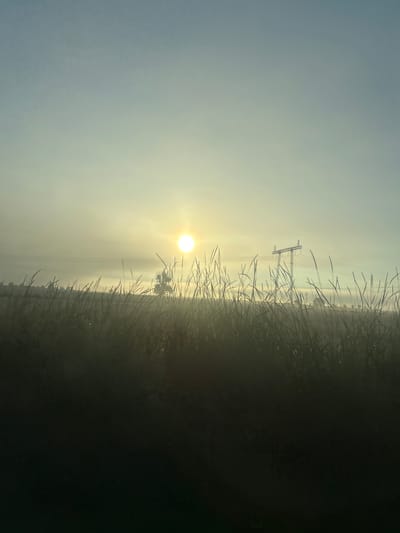 A wide-angle photograph captures a serene, early morning scene in Zhivkovo, Bulgaria, where the sun, a bright orb, rises against a pale, hazy sky. Tall grasses in the foreground are silhouetted against the soft light, their blades reaching upwards. In the middle ground, a lone power line tower stands against the horizon, with electric cables stretching horizontally across the frame. The landscape is gently rolling, with a light mist or fog adding a diffused quality to the distant features. The overall atmosphere is tranquil and expansive.