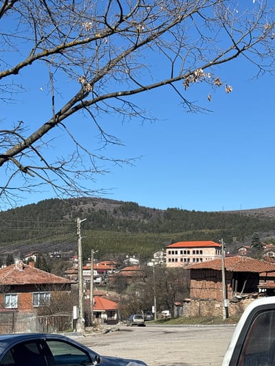 The image depicts a rural village scene in Baylovo, Bulgaria, under a clear blue sky. In the immediate foreground, bare tree branches with a few desiccated leaves extend across the upper frame. The lower foreground shows portions of two vehicles: a dark-colored Mercedes sedan on the left and a white vehicle on the right.
The midground features a paved road with a gentle curve, leading into the village. Two wooden utility poles with overhead wires are visible along the road. Numerous houses, characterized by red or orange tiled roofs, are scattered across the undulating terrain. Some houses are constructed of brick, while others exhibit traditional half-timbered architecture. A prominent multi-story building with an orange tiled roof and multiple empty window apertures, suggesting it is either unfinished or derelict, is situated on higher ground in the mid-background.
Beyond the village structures, densely forested hills and mountains form the backdrop, extending to the horizon under the bright, cloudless sky. No individuals are discernible within the frame. The scene is illuminated by direct sunlight, indicating a clear day.