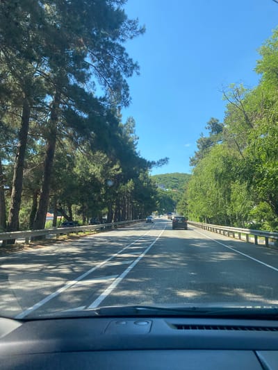 This image depicts a view from inside a vehicle traveling on a paved road lined with tall trees and a metal guardrail. The road has lane markings and appears to be in a rural or suburban area, possibly a highway. The sky is clear and blue, suggesting fair weather. In the distance, a green, hilly landscape is visible. Several vehicles are present on the road, including cars and what appears to be a truck. The trees on the left are tall and coniferous, while the trees on the right are leafy and green, creating a dappled light effect on the road from the shadows. The image is taken from a first-person perspective, looking forward through the windshield. The dashboard of the vehicle is visible in the foreground. The scene is likely located in the city of Olginka, Russia, given the mention of the location.