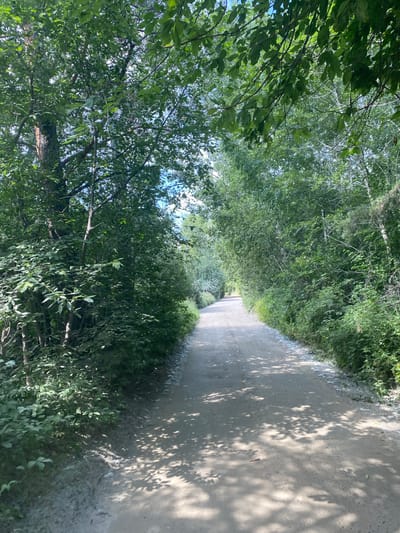 The image shows a dirt road winding through a dense forest on a sunny day. The road is light brown and appears to be covered in fine gravel or sand. The trees on either side of the road are lush and green, with a thick canopy of leaves that casts dappled shadows onto the road. The sunlight filters through the leaves, creating a bright and airy atmosphere. In the distance, the road curves out of sight, disappearing into the trees. The image appears to have been taken in a natural setting, possibly a park or a rural area. There are no people or man-made structures visible in the image, besides the road itself. The environment is characterized by abundant vegetation and a clear sky, suggesting it is a warm season. The location is not specifically identified as being in the city of Angarsk, Russia.