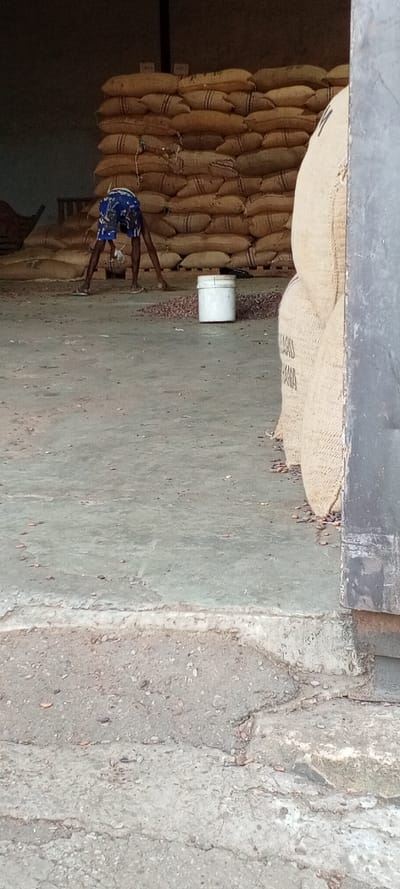Inside a warehouse, stacks of burlap sacks reach towards the ceiling. A person in blue shorts bends over, working near a white bucket and scattering of reddish-brown objects, possibly beans. Several other sacks are stacked to the right, partially obstructing the view, and are in front of a metal door. The floor is concrete with cracks and patches.