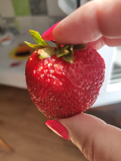 A close-up shot captures a person's fingers, adorned with bright pink nail polish, holding a ripe red strawberry. The strawberry is the central focus, with its textured surface and small seeds visible. The background is blurred, showing hints of a checkered pattern and a light-colored surface, possibly a table or countertop, suggesting an indoor setting. The lighting creates highlights on the strawberry, indicating a natural or bright artificial light source. The image is devoid of any elements that would place it in a specific city or geographical location.