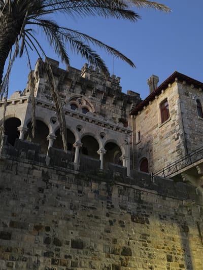 The image depicts a view of the Citadel of Cascais, Portugal, at dusk. A palm tree frond extends into the upper left corner of the frame, partially obscuring a section of the stone building. The Citadel itself is constructed of weathered stone blocks. The main building in the foreground features a series of arched openings supported by columns, above a rougher stone wall. To the right, a smaller, more rectangular stone structure with red-framed windows and a tiled roof is visible, connected by a walkway or bridge with a black metal railing. The sky above is a deep blue, indicating the late hour. The lighting suggests artificial illumination, casting shadows on the stonework. There are no people or animals visible in the scene.
