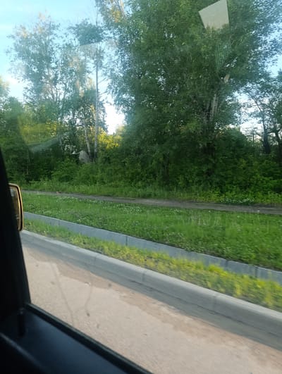 The image depicts a view from a vehicle, likely in Svobodny, Russia, on a bright, sunny day. The scene is dominated by lush green trees and vegetation, suggesting a temperate climate during the warmer months. The trees are tall and full of leaves, with some appearing to be birch trees due to their light bark, which are common in Russia.

In the foreground, a portion of the vehicle's interior is visible, including a side mirror and a car window. Through the window, a roadside area is seen, characterized by a strip of green grass dotted with small white and purple wildflowers. Beyond this, a dirt path or track runs parallel to the grassy area, and further back, a dense line of trees forms a natural barrier. The sky is a clear, bright blue, indicating fair weather.

The road itself is made of asphalt, with a concrete curb separating it from the grassy verge. The sunlight casts reflections on the car window, adding a slightly hazy quality to the image. There are no people or prominent man-made structures visible, other than the road and the implied vehicle. The overall impression is one of a peaceful, natural landscape viewed during a leisurely drive. The time of day appears to be late morning or early afternoon, given the bright sunlight and clear skies.
