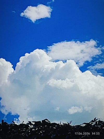 A close-up, low-angle shot captures a portion of the sky, predominantly a vibrant blue with large, fluffy white cumulus clouds. In the foreground, the dark silhouettes of foliage and branches create a distinct border across the bottom of the image. A timestamp in the lower right corner reads "17.06.2026 14:33". The image appears to be taken outdoors, likely during daylight hours. There are no people or discernible city structures visible in this specific frame.