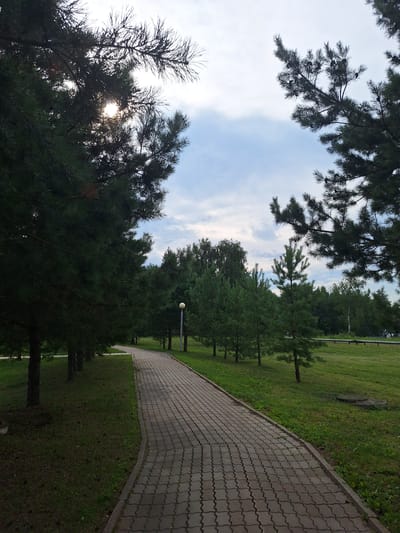 A paved walkway curves through a park-like setting, bordered by grass and trees. The walkway is made of interlocking gray concrete pavers and is illuminated by a lamp post visible in the mid-ground. Dense evergreen trees line the left side of the walkway, casting shadows and partially obscuring the sky. The right side of the walkway opens up to a grassy area with scattered younger evergreen trees and a line of mature trees in the distance, suggesting the edge of a wooded area or forest. The sky is partly cloudy with patches of blue visible. The overall impression is of a well-maintained outdoor space, possibly a park or public garden in Atamanovka, Russia, under a bright, overcast sky.