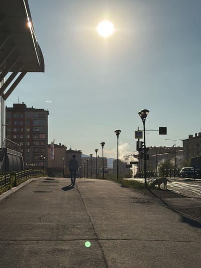 The image depicts an outdoor scene in Norilsk, Russia, likely during daytime. A lone pedestrian walks away from the viewer on a paved path. To the left, a building with a dark awning and exposed structural beams is visible, casting a shadow over the path. Further in the background on the left, a multi-story building with numerous windows is seen. A flag with a white background and a red symbol is planted near this building. A row of lampposts lines the right side of the path, with traffic signals and street signs further down. A dog is visible on the right side of the path, near the edge of the road, sniffing the ground. In the background, several other buildings are visible, and some areas show steam or smoke rising, possibly from industrial activity or heating systems. The sun is high in the sky, creating bright light and casting shadows. The overall atmosphere appears to be a typical urban landscape in Norilsk.