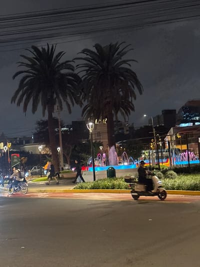 The image depicts a nighttime scene in San Isidro, Peru, characterized by a street with a sidewalk and a grassy median. The time of day is clearly night, with artificial lighting being prominent. The weather appears clear, as evidenced by the visibility of lights and distant structures.
The main subjects include several palm trees, silhouetted against the darker sky, and a paved street. Along the sidewalk, there are various objects and structures. Notably, there's a decorative display of colorful, swirling lights, possibly part of a public art installation or holiday decoration. The lights are vibrant and create an festive atmosphere.
Several people are visible in the scene, some appearing to be walking or standing near the lights. One person is leaning over a stroller or a similar wheeled device. Further down the street, another person is walking. At the very bottom of the image, a group of people are gathered around what appears to be a bicycle or motorcycle, with some individuals on or near the vehicle.
The setting seems to be an urban environment, likely a park or a public area within San Isidro, Peru, given the presence of palm trees and decorative lighting. The overall mood conveyed is one of nighttime activity and possibly leisure, with the bright lights contrasting with the dark sky. No discernible text is visible in the image.