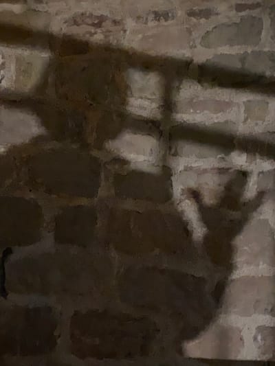 The image captures a dimly lit scene featuring a prominent, dark shadow cast onto a textured brick wall. The shadow, occupying the upper right and central sections of the frame, clearly delineates the profile of an animal's head and upper body, most notably resembling a goat or ram with a distinct horn-like protrusion extending from its head and a pointed muzzle.
The background is a rugged brick wall, with irregular blocks of varying shades of grey, brown, and muted orange, and visible mortar lines, suggesting old or rustic construction. Other, more linear and less defined shadows appear on the left side, possibly from vertical bars, a fence, or structural elements, partially overlapping the main animal shadow.
The overall lighting is very low, creating a high-contrast environment where the deep shadows stand out against the slightly brighter, textured wall. The scene evokes a mysterious or perhaps ancient atmosphere. There is no discernible activity beyond the casting of shadows. Given the dark conditions, the image was likely captured at night or in a poorly illuminated indoor or enclosed outdoor setting in Podličak, Montenegro. No text is visible in the image.