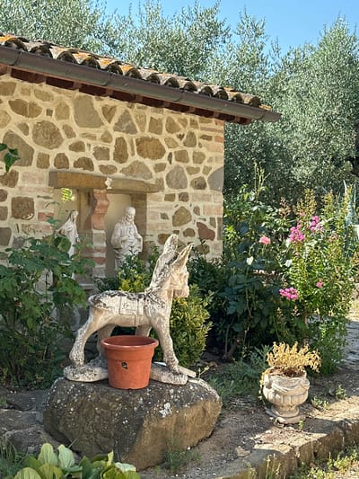 The image depicts an outdoor scene at a stone building with a terracotta tiled roof, situated in Cannara, Italy. The building's wall is constructed of irregular, light-colored stones. Recessed within the wall are two religious statues; one on the left appears to be a woman in flowing robes, and the other on the right is a figure of a man, possibly Jesus, holding his chest. In the foreground, a weathered, light-colored statue of a donkey stands on a large, rough-hewn stone. Next to the donkey statue is a terra cotta pot. Behind the donkey and to the right of the statues, a variety of green shrubs and plants are visible, including some with small pink flowers. Further to the right, a smaller, decorative urn holds a dry, light-colored plant. Olive trees with dense green foliage are visible above and behind the building. The ground is a mix of dirt, small stones, and some green vegetation. The sky is a clear, bright blue.
