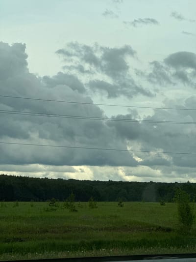 The image shows a landscape outside of what appears to be a moving vehicle. On the right, there is a field, predominantly green, with patches of darker vegetation running vertically. Adjacent to the field is a dense line of trees, creating a dark green border. In the sky, heavy, grey storm clouds dominate the scene. There are also power lines running vertically. The scene is outdoors in Bogorodskoe, Russia.