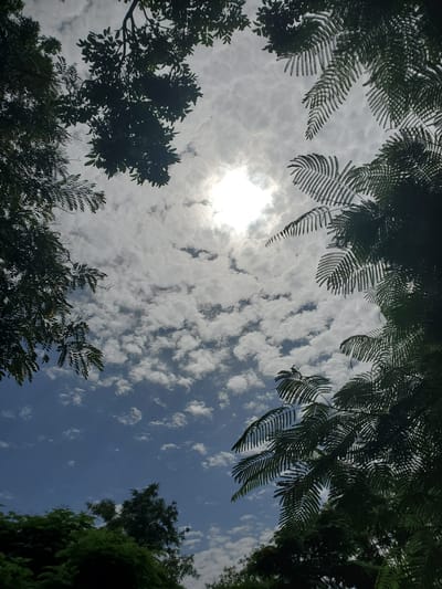 This is a low-angle, full-shot photograph taken outdoors in Kabwir, Nigeria. The image captures a view looking upwards towards the sky, framed by the dark silhouettes of tree foliage. The sky is a mix of blue and white, with a bright sun partially obscured by wispy, scattered clouds. The foliage in the foreground consists of green leaves and branches, some appearing feathery and delicate, while others are more dense. The sun's light is intense, creating a halo effect and highlighting the textures of the clouds. The overall impression is of a bright, possibly warm day, with the lush greenery suggesting a natural, perhaps tropical or subtropical, environment. There is no visible text in the image.